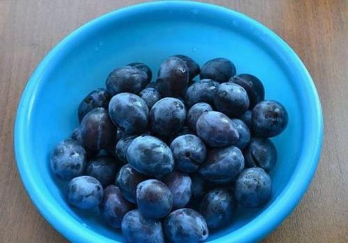 Компот из сливы на зиму — простой рецепт 25