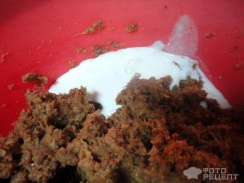 Какие ингредиенты можно использовать вместе с яблочным жмыхом при приготовлении блюд. Рецепт: Яблочные оладьи - Оладьи из яблочного жмыха