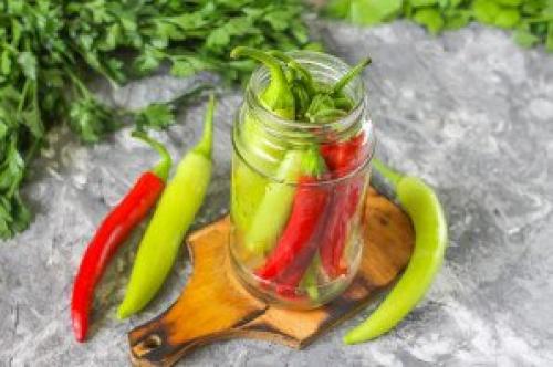 Маринованный горький стручковый перец на зиму. Маринованный горький перец на зиму