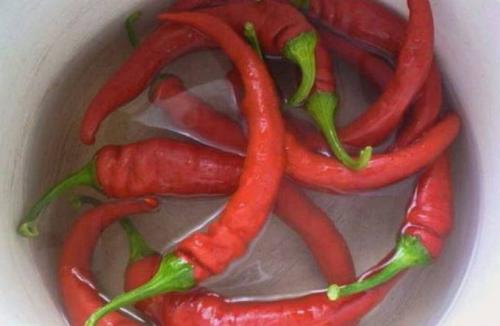 Заправка из горького перца. Горький перец, маринованный на зиму