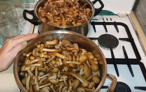 Маринованные опята из замороженных грибов. Опята маринованные на зиму в банках с уксусом