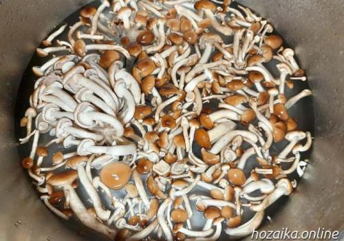 Маринованные опята с уксусом. Маринованные опята на зиму в банках