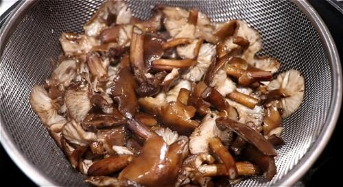 Особенный рецепт маринованных опят. Маринованные опята в банках — самый вкусный рецепт