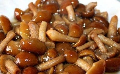 Маринованные опята из замороженных грибов. Опята маринованные на зиму в банках с уксусом