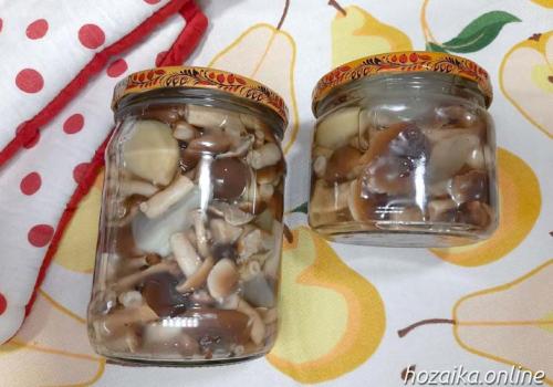 Маринованные опята с уксусом. Маринованные опята на зиму в банках