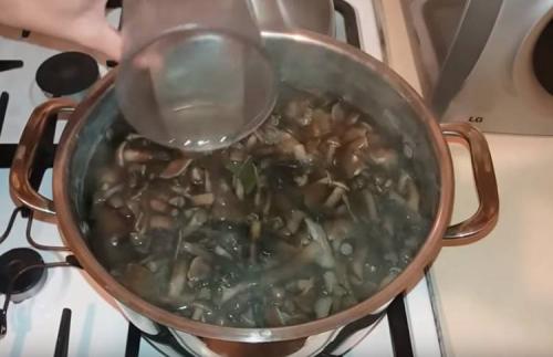 Маринованные опята из замороженных грибов. Опята маринованные на зиму в банках с уксусом
