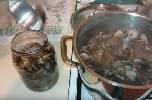 Маринованные опята из замороженных грибов. Опята маринованные на зиму в банках с уксусом