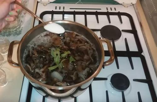 Маринованные опята из замороженных грибов. Опята маринованные на зиму в банках с уксусом