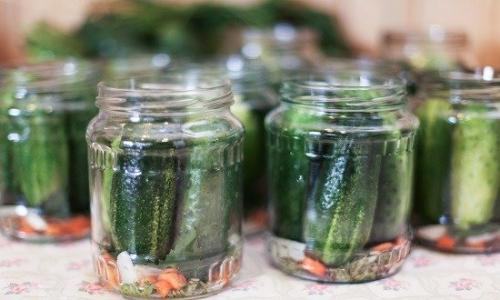 Острые маринованные огурцы без стерилизации. Маринованные огурцы на зиму без стерилизации — 5 рецептов хрустящих огурцов в банках