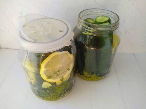 Сладко острые огурцы на зиму. Сладкие огурцы на зиму маринованные – 8 рецептов хрустящих огурцов