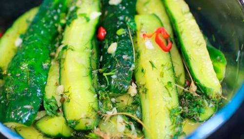 Малосольные огурцы с острым перцем. Хрустящие малосольные огурцы в пакете за сутки с горчицей и острым перцем