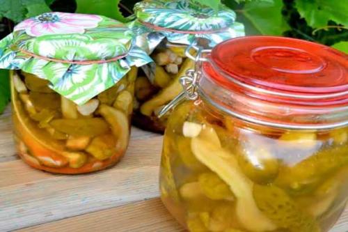 Рецепт маринованных огурцов с перцем чили. Огурцы по-мексикански на зиму — 10 вкусных рецептов острых огурцов на зиму