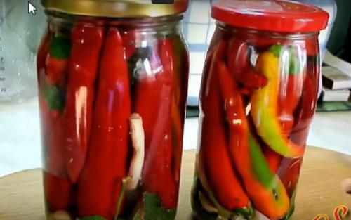 Маринованный острый перец быстрого приготовления. Маринованный острый перец на зиму пальчики оближешь — 5 рецептов горького стручкового перца