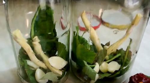 Маринованный горький перец на зиму без стерилизации. Лучшие рецепты маринования горького перца на зиму 17