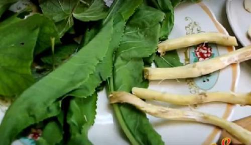 Маринованный горький перец на зиму без стерилизации. Лучшие рецепты маринования горького перца на зиму 18