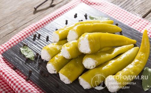 Горький перец на зиму по-кавказски. Советы по приготовлению