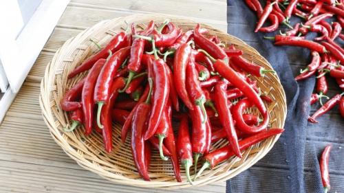 Маринованный острый перец рецепт без стерилизации. Как приготовить маринованный горький перец на зиму без стерилизации: самые простые и вкусные рецепты