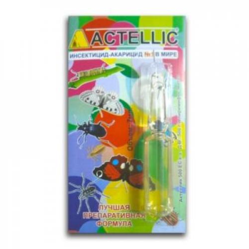 Мучнистый червец и белокрылка. Мучнистый червец на комнатных растениях: как выглядит, чем опасен 08