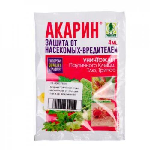 Мучнистый червец и белокрылка. Мучнистый червец на комнатных растениях: как выглядит, чем опасен 06