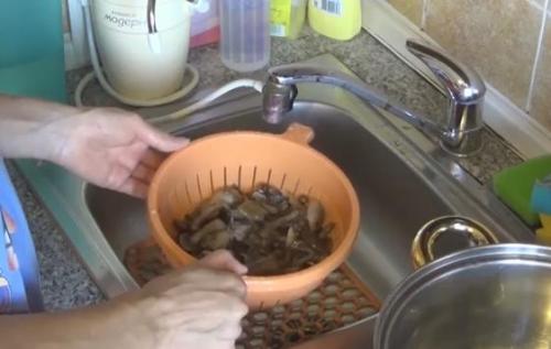 Маринованные опята, бабушкин рецепт. Самый вкусный рецепт маринованных опят
