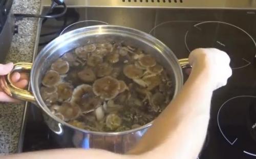 Маринованные опята, бабушкин рецепт. Самый вкусный рецепт маринованных опят