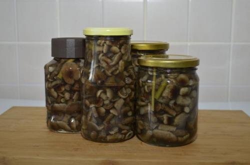 Маринованные опята на зиму в банках с уксусом. Маринованные опята с уксусом – самый вкусный рецепт
