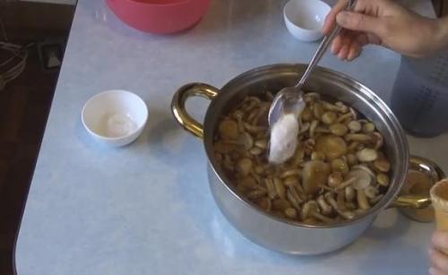 Маринованные опята, бабушкин рецепт. Самый вкусный рецепт маринованных опят