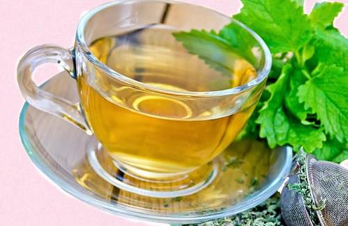 Как готовить мелиссу. Чай с мелиссой — польза, рецепты заваривания. Как заготовить мелиссу