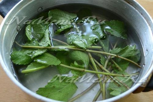 Как заморозить мелиссу » Сусеки. Как заморозить мелиссу. Можно ли заморозить мяту на зиму в домашних условиях Можно ли замораживать мяту на зиму