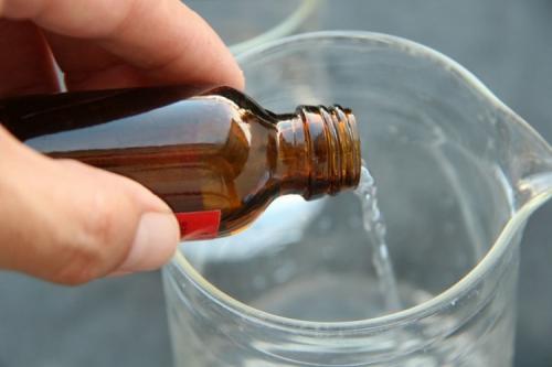 Черные летающие мошки в цветах: как избавиться.