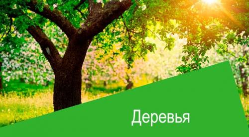 Актара для деревьев