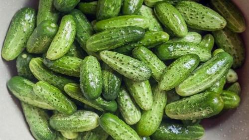 Отличаем засолочные огурцы от салатных Мы сами. 09 Отличаем засолочные огурцы от салатных Мы сами. 09