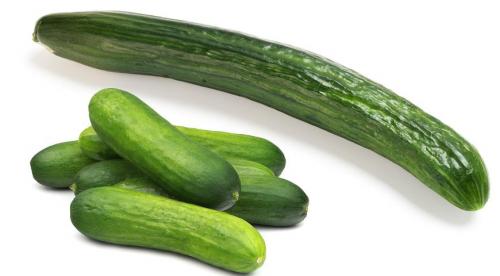 Отличаем засолочные огурцы от салатных Мы сами. 01 Отличаем засолочные огурцы от салатных Мы сами. 01