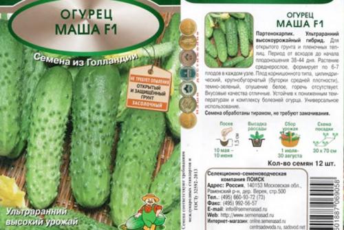 Тепличные огурцы для засолки. Лучшие сорта огурцов для засолки – рейтинг 2022 года