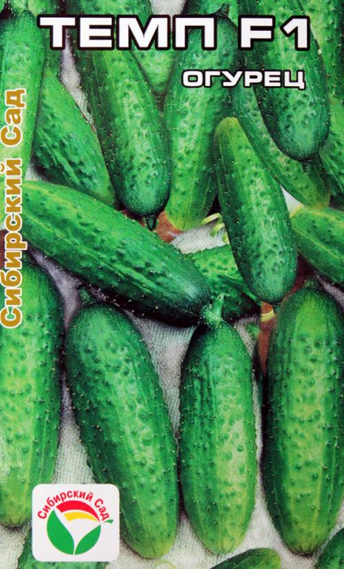 Тепличные огурцы для засолки. Лучшие сорта огурцов для засолки – рейтинг 2022 года