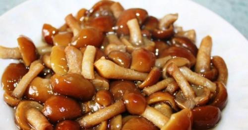 Семь рецептов маринованных опят. Опята маринованные на зиму в домашних условиях — 6 рецептов быстрого приготовления