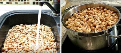 Семь рецептов маринованных опят. Опята маринованные на зиму в домашних условиях — 6 рецептов быстрого приготовления