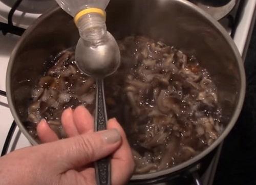 Маринованные опята с уксусом. Маринованные опята на зиму — рецепты с уксусом в банках