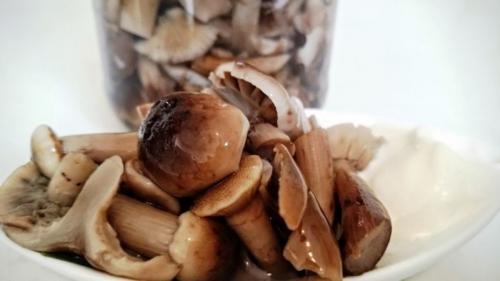 Семь рецептов маринованных опят. Опята маринованные на зиму в домашних условиях — 6 рецептов быстрого приготовления