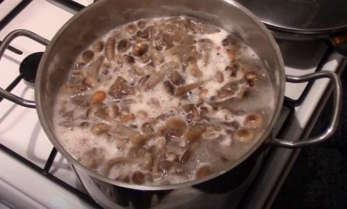 Маринованные опята с уксусом. Маринованные опята на зиму — рецепты с уксусом в банках