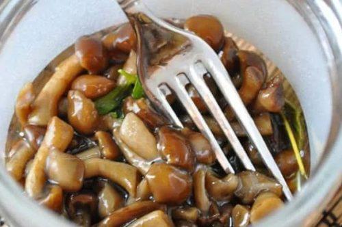 Маринованные опята рецепт готовим дома. Опята маринованные без уксуса с лимонной кислотой