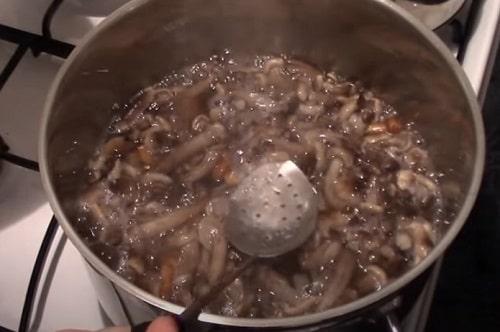 Маринованные опята с уксусом. Маринованные опята на зиму — рецепты с уксусом в банках