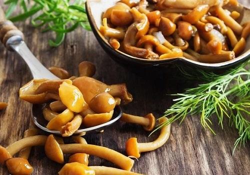 Маринованные опята с уксусом. Маринованные опята на зиму — рецепты с уксусом в банках