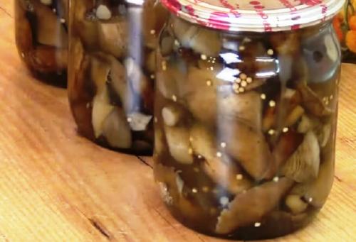 Семь рецептов маринованных опят. Опята маринованные на зиму в домашних условиях — 6 рецептов быстрого приготовления