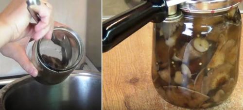 Семь рецептов маринованных опят. Опята маринованные на зиму в домашних условиях — 6 рецептов быстрого приготовления