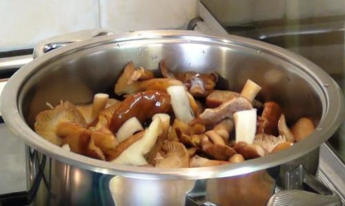 Семь рецептов маринованных опят. Опята маринованные на зиму в домашних условиях — 6 рецептов быстрого приготовления