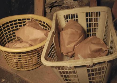 Как хранить капусту в погребе форум. Хранение капусты в погребе