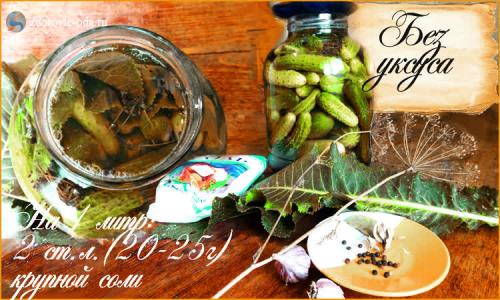 Обалденно хрустящие огурцы на зиму без уксуса и стерилизации. Особенности соления огурцы без уксуса на зиму