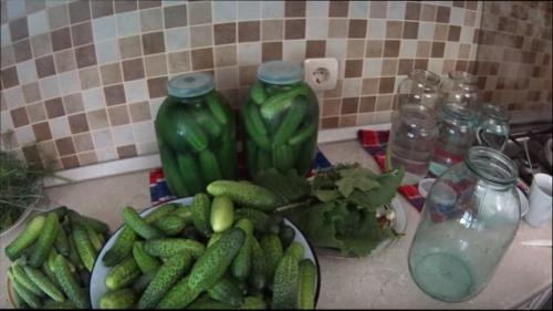 Как засолить огурцы в 3х литровой банке. Засолка огурцов в 3 литровых банках на зиму – хрустящие, соленые огурцы