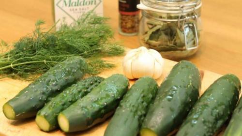 Малосольные огурцы без стерилизации. Вкусные хрустящие малосольные огурцы на зиму: рецепты без стерилизации на 1 литр